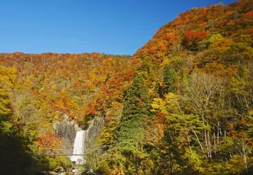 上越妙高 紅葉情報2025＞苗名滝周辺はピーク 各所で見ごろ／撮影:11月2日(日)、4日(火) 