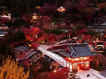 明治の森箕面国定公園の紅葉見頃・天気情報 2025 