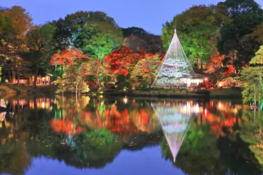 2025年版】見ごろはいつ？ 東京のおすすめ紅葉名所9選 