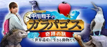 中川翔子、ガラパゴスを行く！〜地球の神秘と出会う旅の記録〜？ガラパゴス諸島の魅力：中川翔子の冒険と、そこに生きる生命
