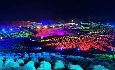 マンウィズとロックな演出 コキア4万本虹色に ひたちなか海浜公園 