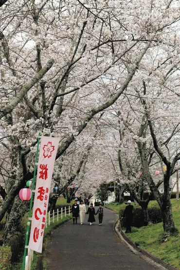 桜彩る矢作川沿い 豊田・平戸橋で「まつり」：中日新聞Web