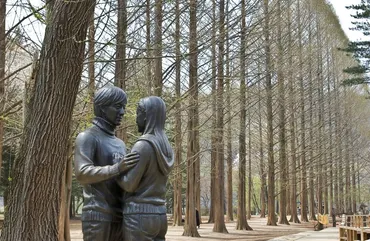 冬のソナタロケ地』南怡島(ナミソム)日帰り観光ツアー【ハローアクティビティ】