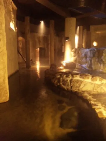 仙仁温泉岩の湯 洞窟温泉がバージョンアップ♪: 温泉ビューティ研究家 石井宏子の「温泉セラピー」