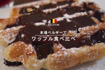 オランダ・ベルギー旅行記：風車、美術館、美食を楽しむ旅の記録！(？)ベルギーワッフルから風車群、ゴッホ美術館まで！オランダ・ベルギー周遊記