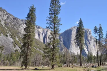 ヨセミテ国立公園のおすすめスポットをキャンピングカーで探索！
