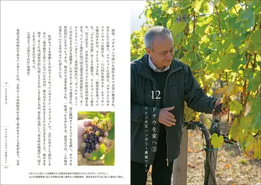 食と旅の記憶を辿るエッセイ集『旅する舌ごころ』とは？白洲信哉氏の食エッセイの世界