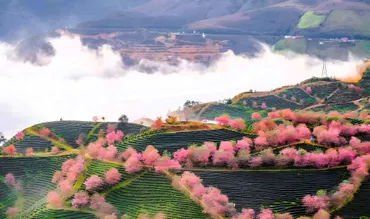 サパの天気予報：チャウロン滞在のためのパッキングのヒント 