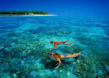 2025年度版】グリーン島徹底ガイド 行き方 見どころ ツアー紹介