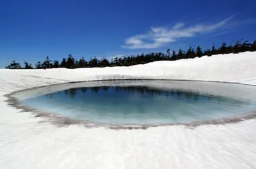 2025年のドラゴンアイの見頃やアクセス情報を詳しく解説。 