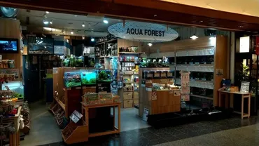 アクアフォレスト スカイツリータウンソラマチ店 東京スカイツリー1階にあるアクアリウムショップ!!