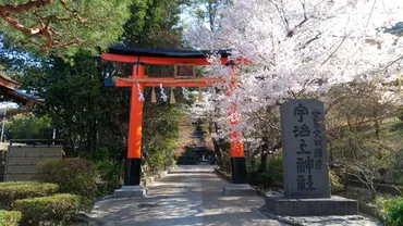 京都】世界遺産の「宇治上神社」見どころ徹底ガイド！日本最古の神社建築に圧巻 