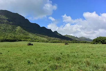 ジュラシック・パーク』も撮影された カウアイ島は映画ロケ地の宝庫！ 