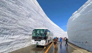 2024 立山黒部・雪の大谷フェスティバル】雪の大谷ウォーク・立山ユキテラスなど大自然を満喫！ 