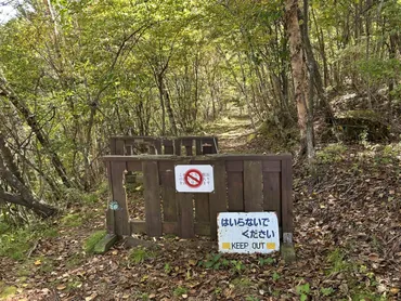 スカイロックトレイルって？浅間山の北面を歩けます 