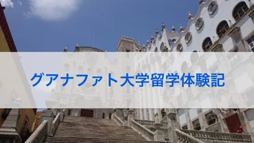 グアナファト大学留学体験記】メキシコ留学を終えて私が得たもの！ 