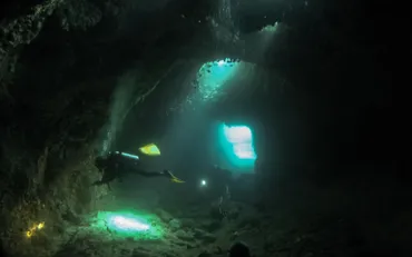 エルダイブはエルニドのあなたのダイビングセンターです。 