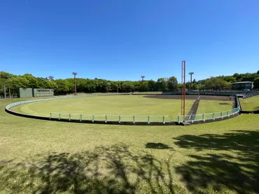 野田市総合公園ってどんな場所？施設、アクセス、イベント情報を徹底解説！野田市総合公園の魅力を深掘り！スポーツ施設からイベント情報まで