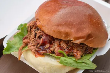 石神前駅ってどんなところ？周辺の魅力とおすすめ情報をご紹介！多摩川と桜並木、BBQも楽しめる！石神前駅周辺の魅力