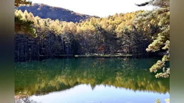 御射鹿池(長野県茅野市) 紅葉と東山魁夷「緑響く」の絶景！ 撮影スポットとアクセス方法を徹底解説！東山魁夷「緑響く」の世界へ！長野県茅野市・御射鹿池の紅葉