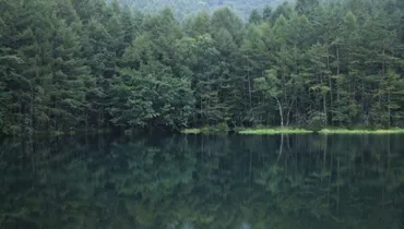 まるで絵画！神秘的な水鏡！一度は行きたい長野の観光スポット御射鹿池をお散歩してみました！ 