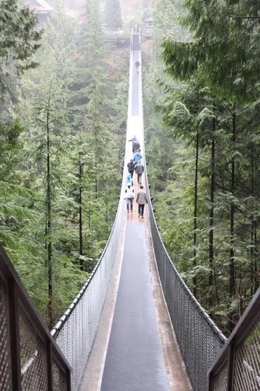 キャピラノ吊り橋ってどんなところ？バンクーバーの大自然を満喫できる観光スポットをご紹介！吊り橋、クリフウォーク、ツリートップアドベンチャー！キャピラノ吊り橋の魅力