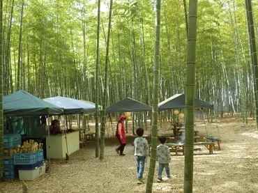 宇都宮】あの有名映画のロケ地で筍狩り体験！「若竹の杜 若山農場」 