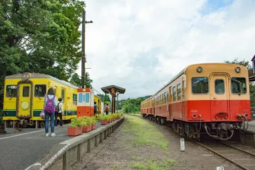 千葉・房総半島くるり1周一人旅 小回り編［小湊鐵道・いすみ鉄道］