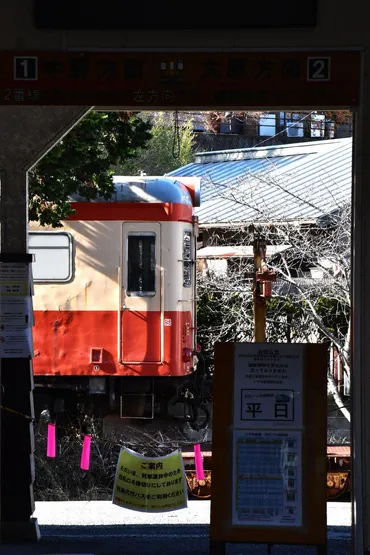 いすみ鉄道 菜の花とローカル線の旅へ！鉄印？魅力あふれる列車旅をご紹介！いすみ鉄道と大多喜！鉄印と沿線観光の魅力