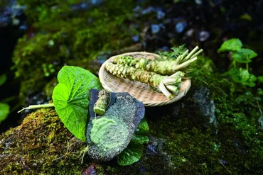 奥多摩わさび／奥多摩町