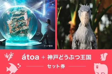 お得なセット券を販売中！「AQUARIUM × ART atoa」を起点に神戸を楽しみ尽くそう！