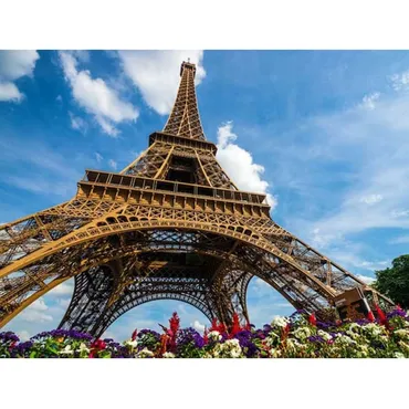 ウォーキングツアー】ローカル気分を満喫！パリ街歩き初級編 シャンゼリゼ＋凱旋門＋エッフェル塔＋セーヌ川＋ノートルダム大聖堂(午前／日本語アシスタント)  