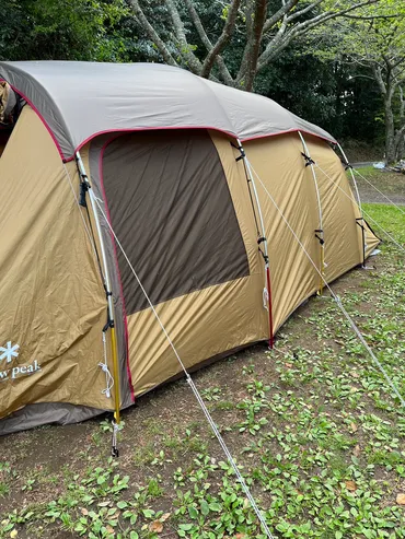 Seria（セリア）】キャンパーの間で口コミ最強！スチールペグ＆蓄光ファスナーバー 