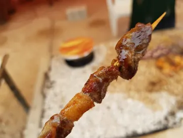 未知なる味？ラクダミルクからラクダ肉まで！ラクダグルメを一挙紹介