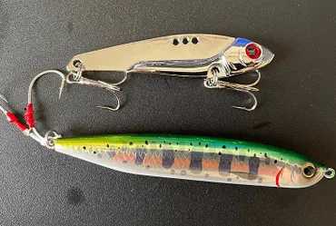 ヒラメやブリも！超釣れるダイソージグの種類やカスタム方法と釣れまくる釣行日記