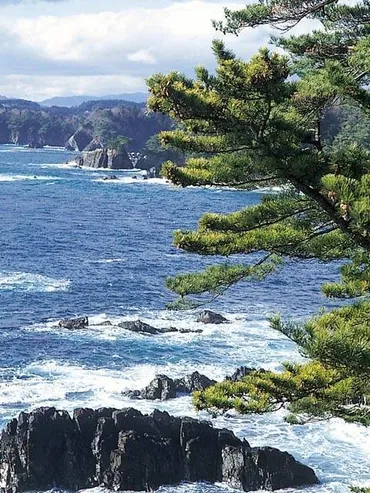 世界の椿館・碁石 