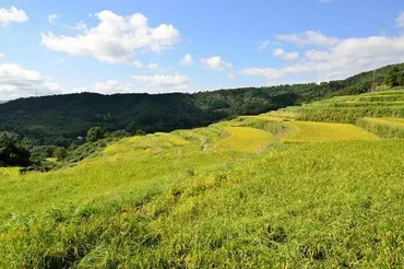 内成棚田』別府温泉(大分県)の旅行記・ブログ by 気まぐれなデジカメ館さん【フォートラベル】
