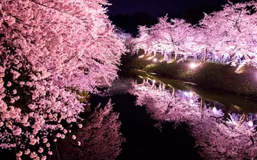 青森県の絶景を巡る旅！おすすめ観光スポットを紹介！（魅力満載？)青森県の自然と歴史が織りなす絶景スポット