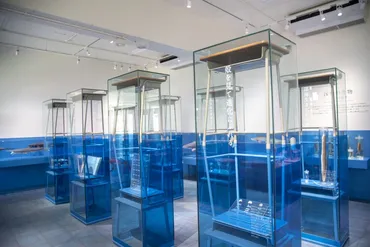 何度も行きたくなる！ ふじのくに地球環境史ミュージアムの楽しみ方 