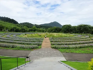 中之条ガーデンズ】 夏でも花が楽しめる！高い完成度と散策の気持ちよいガーデン。 