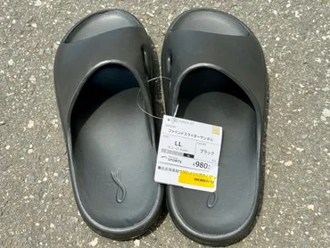 最高】ワークマン「ファインドスライダーサンダル（980円）」が良すぎる / ベランダ・近所の買い物・来客用など何にでも使える！ 