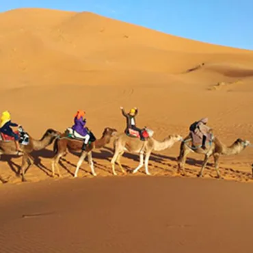 モロッコのサハラ砂漠でラクダと触れ合う！ 