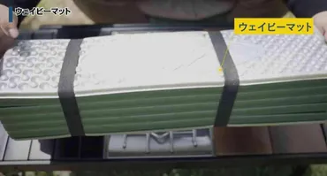 カインズ・ドンキ・DCM】キャンプ道具はホムセンがアツい！コスパ抜群のギア《人気記事週間ランキング》 