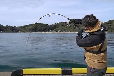 動画】コスパ抜群『ダイソールアーロッド』。果たしてその実力は？ 