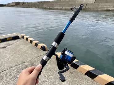 ダイソーの釣り竿は本当に釣れるのか？1000円の釣り竿を実際に使ってみた 