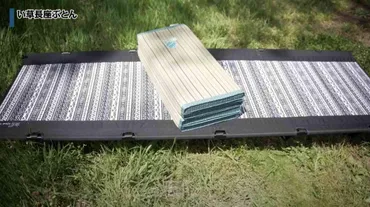 実は【しまむら】でもキャンプギアが買えるの知ってる？ワークマンでも注目されてる「い草マット」風の商品も・3選 