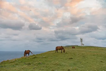 与那国島旅行の魅力：最西端の楽園を巡る旅の記録？日本最西端の地、大自然と歴史が織りなす絶景