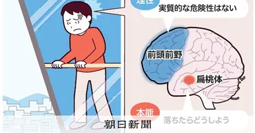 ののちゃんのＤＯ科学）高所恐怖症のしくみは？：朝日新聞