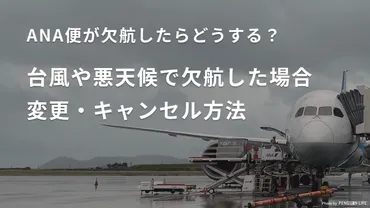 ANA便が台風や悪天候で欠航になった場合の変更・キャンセル方法