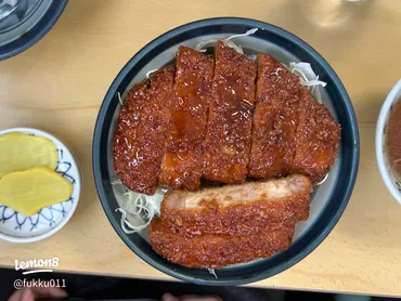 猪苗代湖で味わう!野口英世とソースカツ丼の魅力